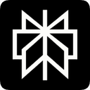 Perplexity AI Logo